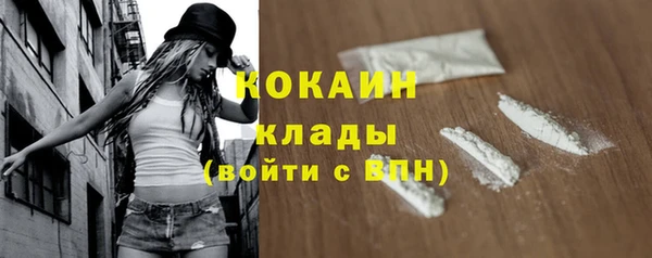 PSILOCYBIN Покров