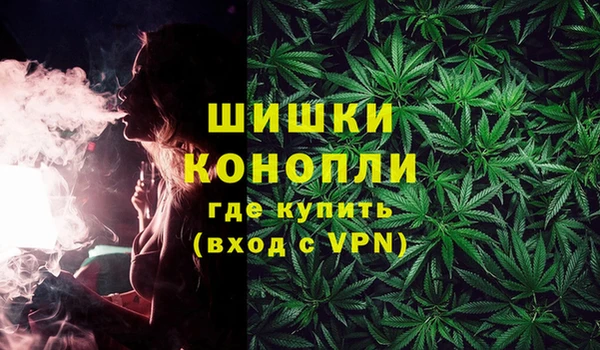PSILOCYBIN Покров