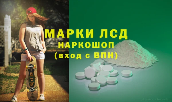 сатива Белокуриха
